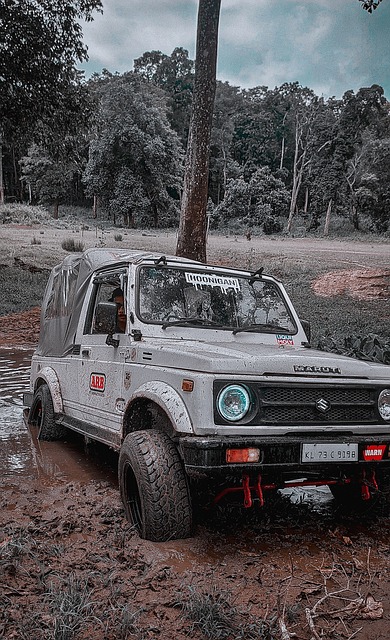 伤病潮又来了，球迷心碎