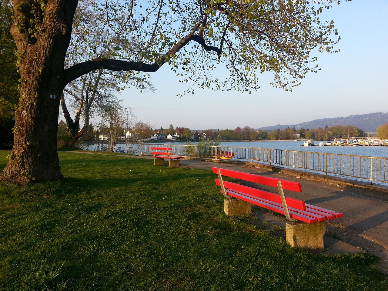 韩K联半场：金东俊救险、尤里破僵，济州SK暂1-0大邱